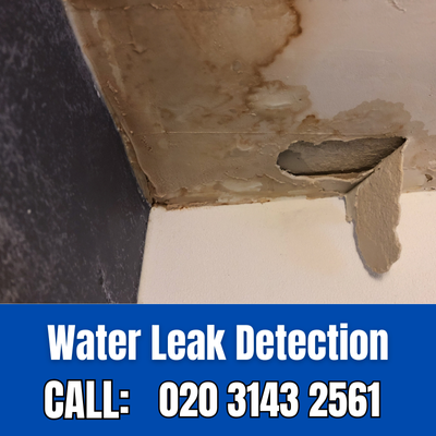 Expert Water Leak Detection Services in Finsbury Park | Finsbury Park Leak Detection